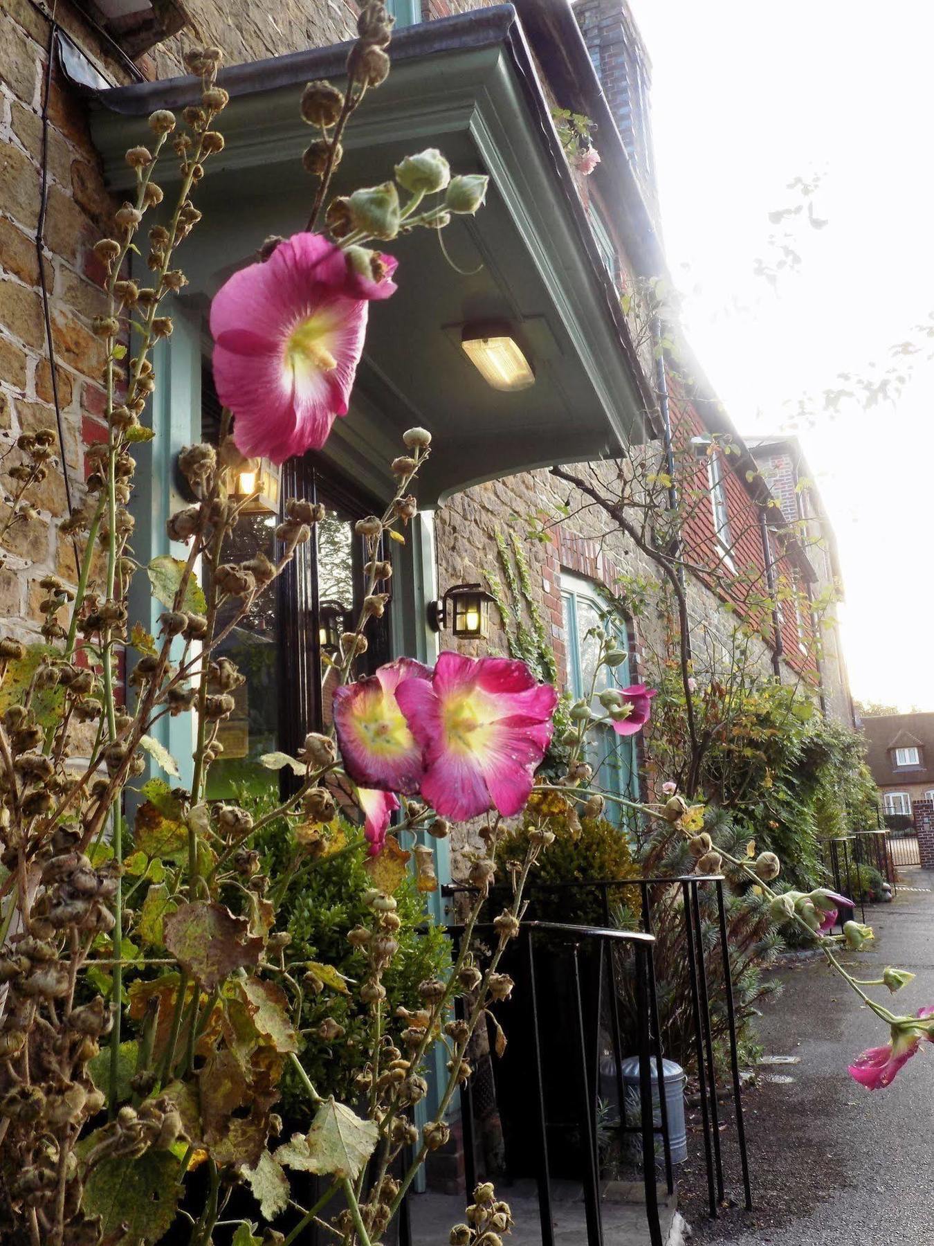 The Angel B&B Chichester Eksteriør billede